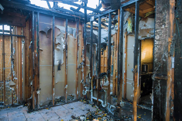 Professional Fire Damage Removal technician working in Dundas, MN